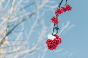 Read more about the article 용인푸르지오원클러스터모델하우스, 놓치면 후회할 기회!
